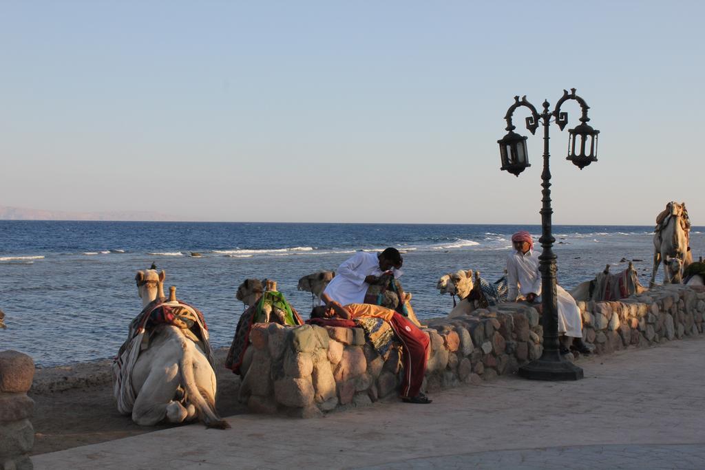 La Reine Dahab Hotel Exteriör bild